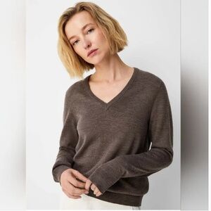 Ann Taylor Size Brown Merino Wool Blend V-neck Sweater